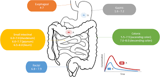 Enteric Coating